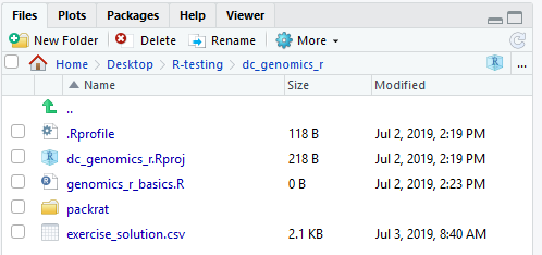 rstudio bp screen