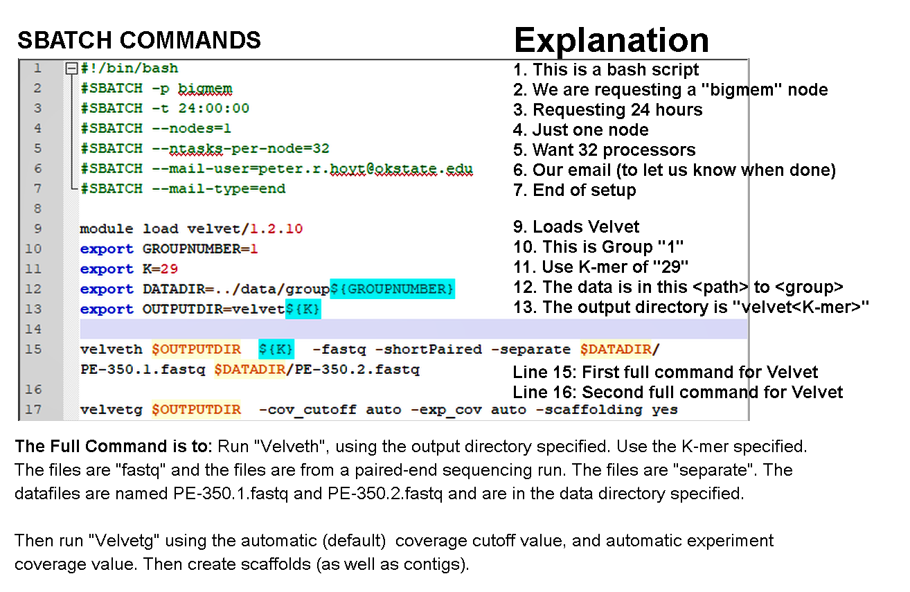 Submission Scripts