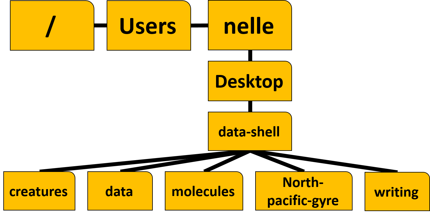 The General File Structure