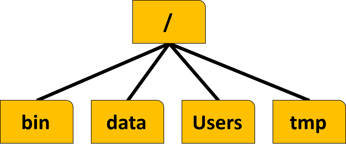 The File System